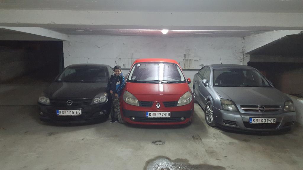 Villa Jelena - Sobe Kragujevac Dış mekan fotoğraf